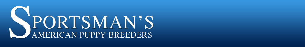 Sportsman's American Puppy Breeders Long Island Sportsman's American Puppy Breeders Long Island